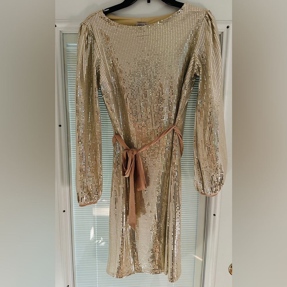 NWT Alexa B Niles Women’s Dress Silver Tone Size 8 Party Cocktail